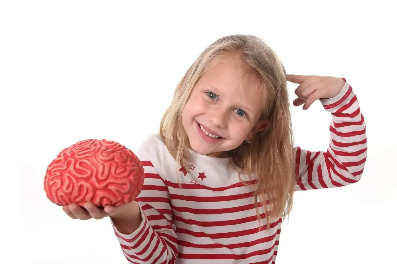 Child holding a brain model and pointing to her head